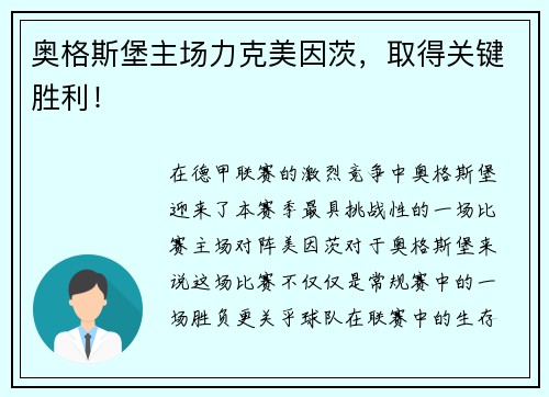 奥格斯堡主场力克美因茨，取得关键胜利！